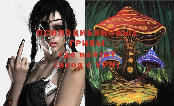 дживик Аркадак