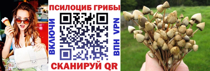 Галлюциногенные грибы мухоморы  сколько стоит  Пустошка 
